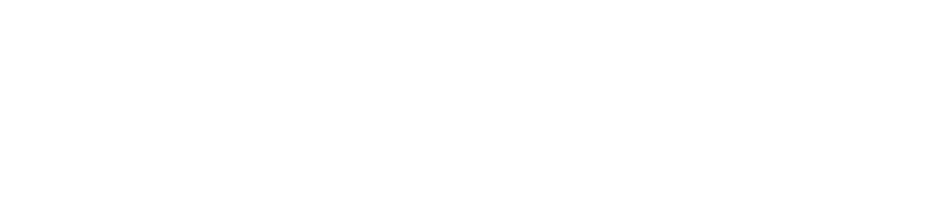 炙の一品料理